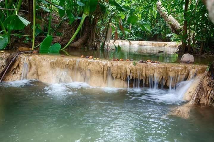 Baan Suan Tondin Hotel Satun Ngoại thất bức ảnh